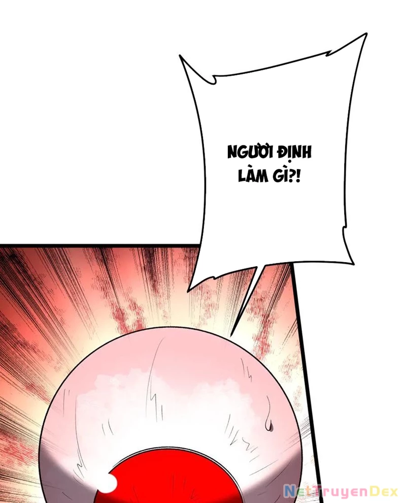 Bắt Đầu Với Trăm Vạn Minh Tệ: Chapter 205