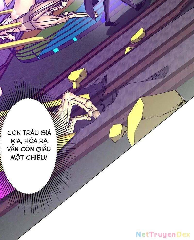 Bắt Đầu Với Trăm Vạn Minh Tệ: Chapter 206