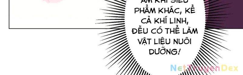 Bắt Đầu Với Trăm Vạn Minh Tệ: Chapter 206