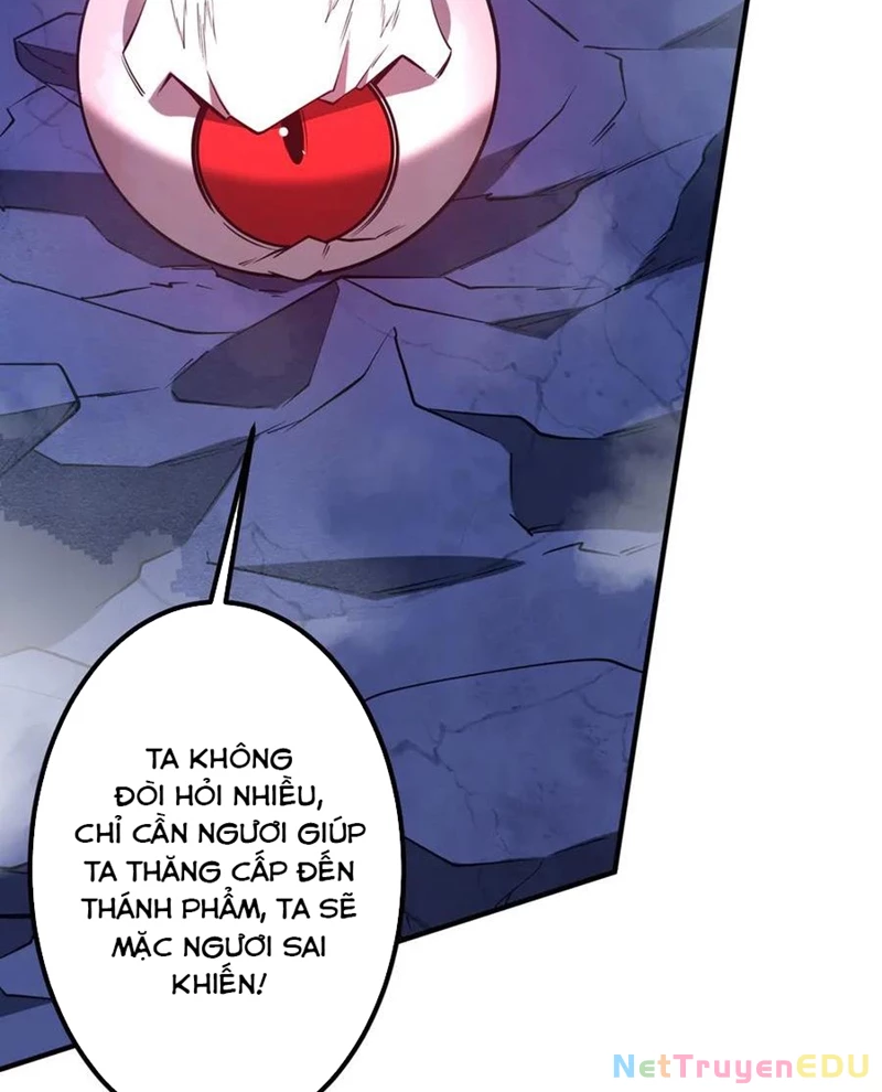 Bắt Đầu Với Trăm Vạn Minh Tệ: Chapter 217