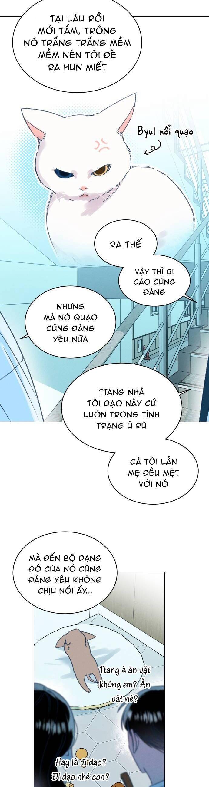 Bầu Trời Mùa Hạ Dấu Yêu: Chapter 16