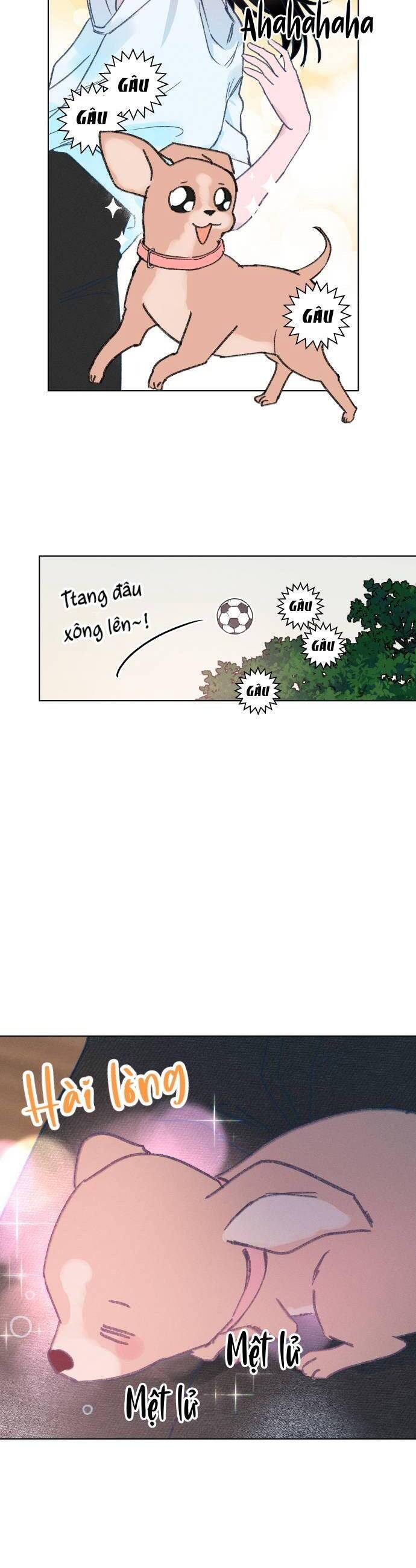 Bầu Trời Mùa Hạ Dấu Yêu: Chapter 16