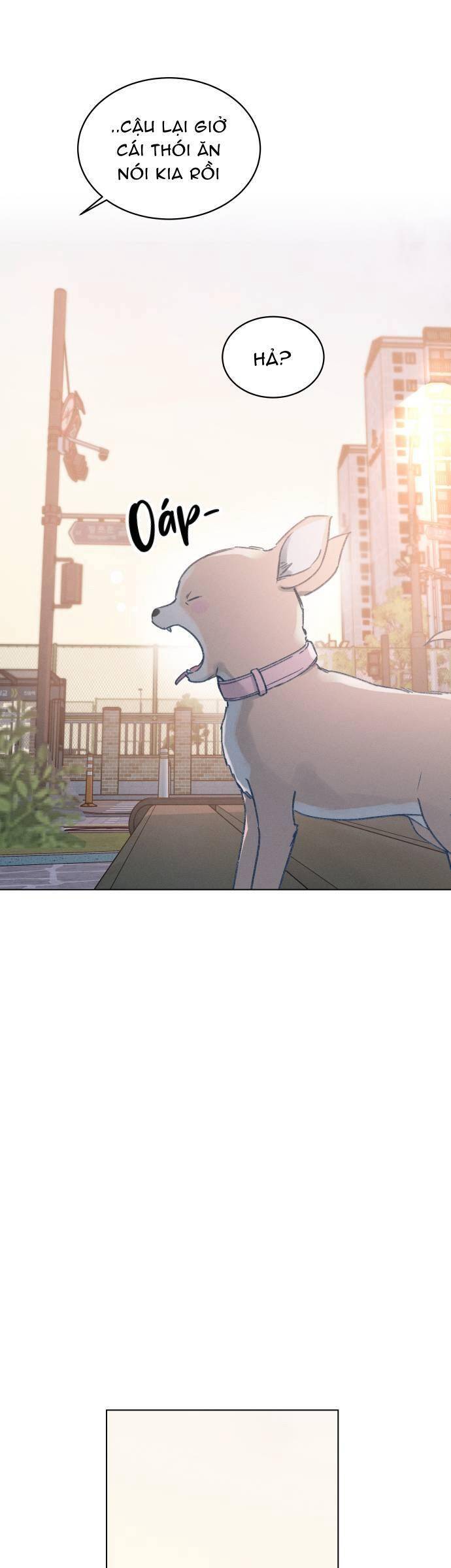 Bầu Trời Mùa Hạ Dấu Yêu: Chapter 17