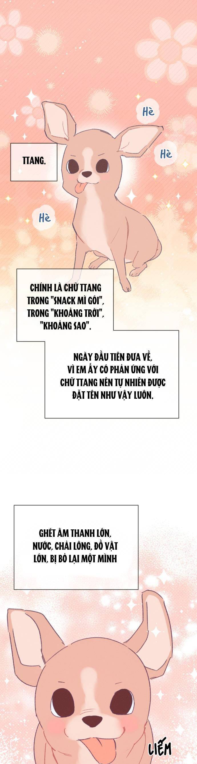 Bầu Trời Mùa Hạ Dấu Yêu: Chapter 34