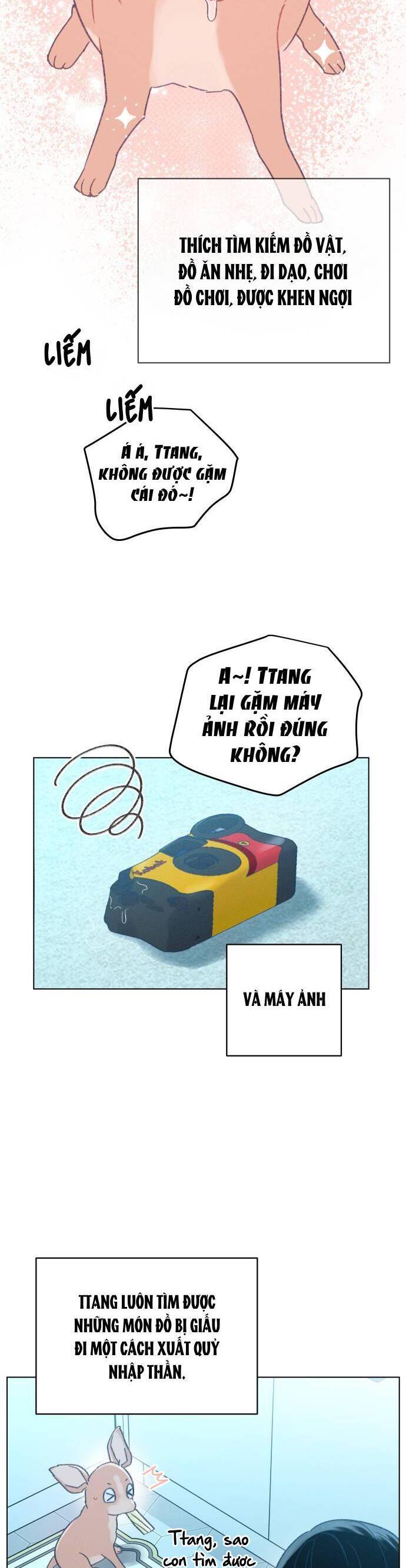 Bầu Trời Mùa Hạ Dấu Yêu: Chapter 34