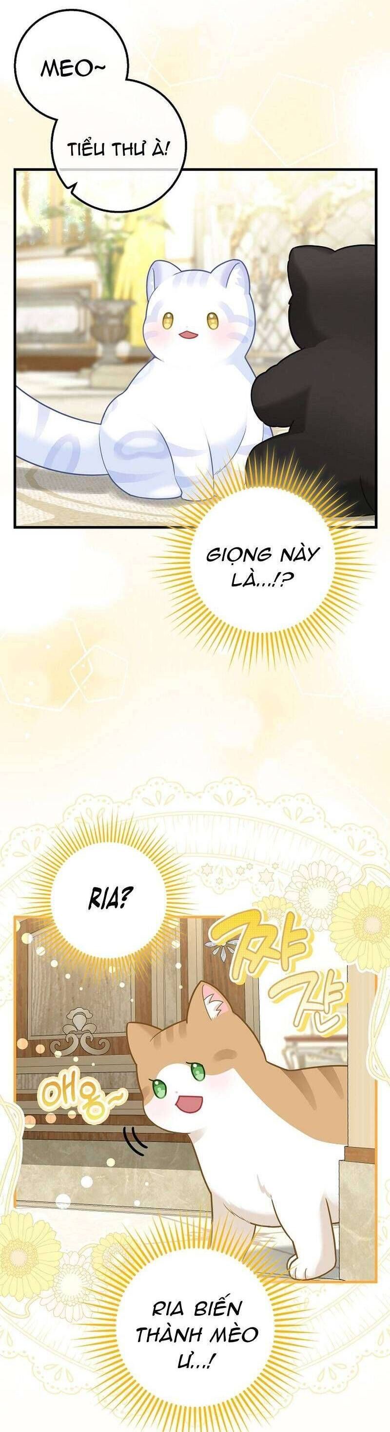 Bé Con Báo Tuyết Của Gia Tộc Báo Đen: Chapter 26