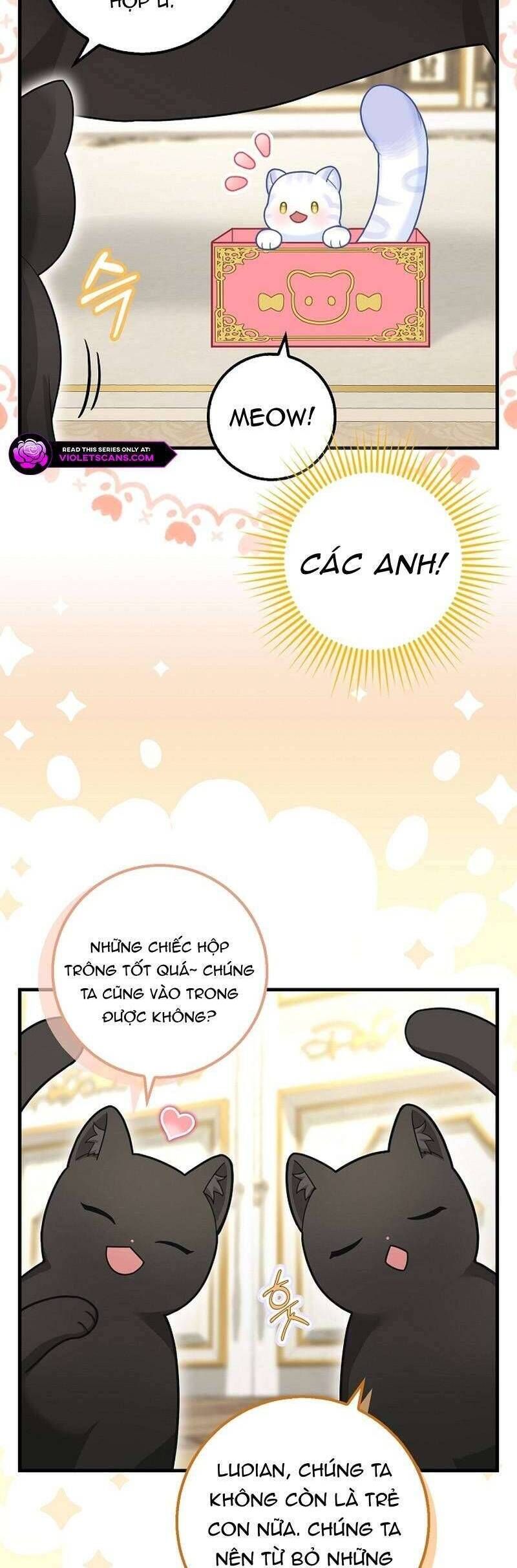 Bé Con Báo Tuyết Của Gia Tộc Báo Đen: Chapter 26