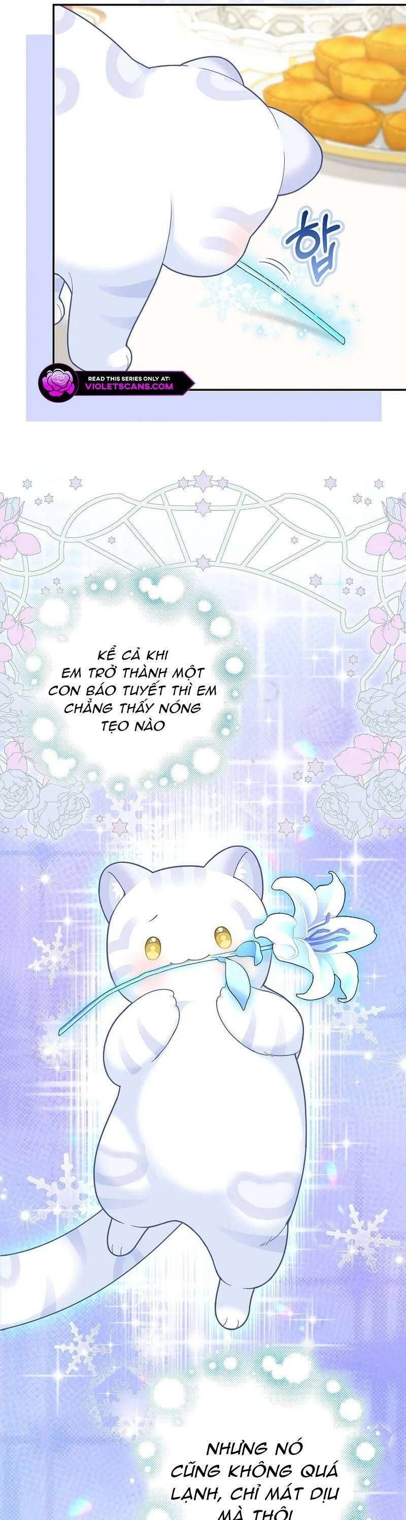 Bé Con Báo Tuyết Của Gia Tộc Báo Đen: Chapter 27