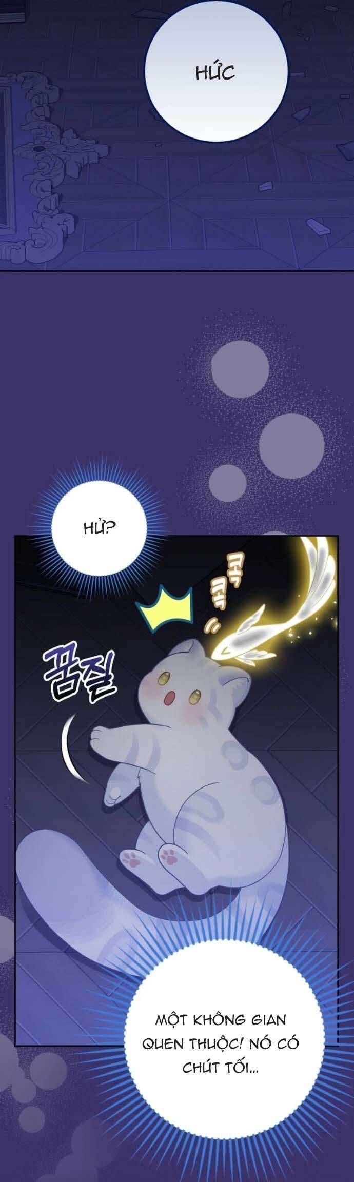 Bé Con Báo Tuyết Của Gia Tộc Báo Đen: Chapter 41
