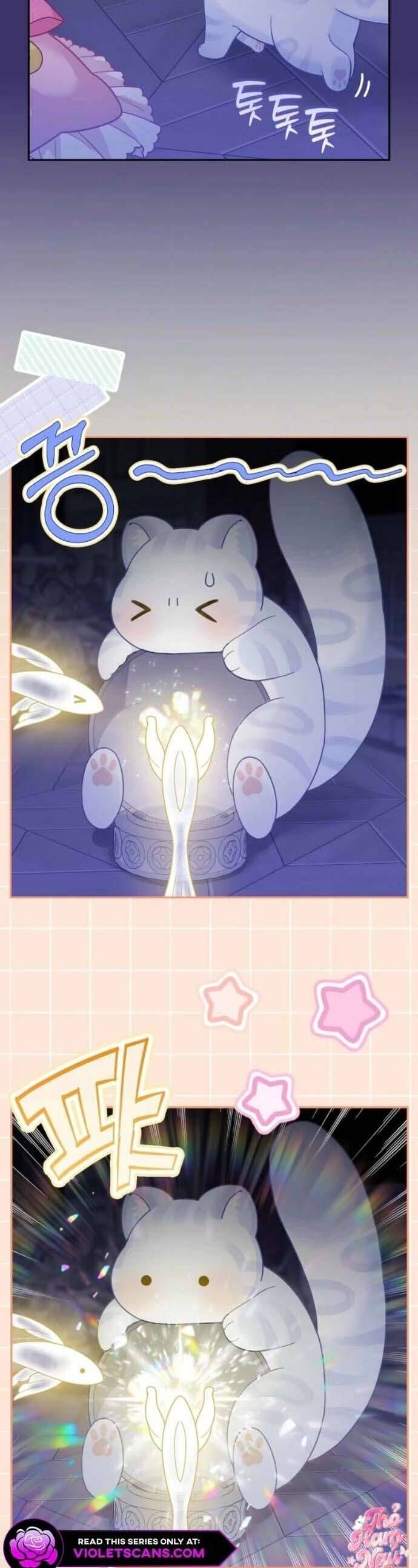 Bé Con Báo Tuyết Của Gia Tộc Báo Đen: Chapter 41