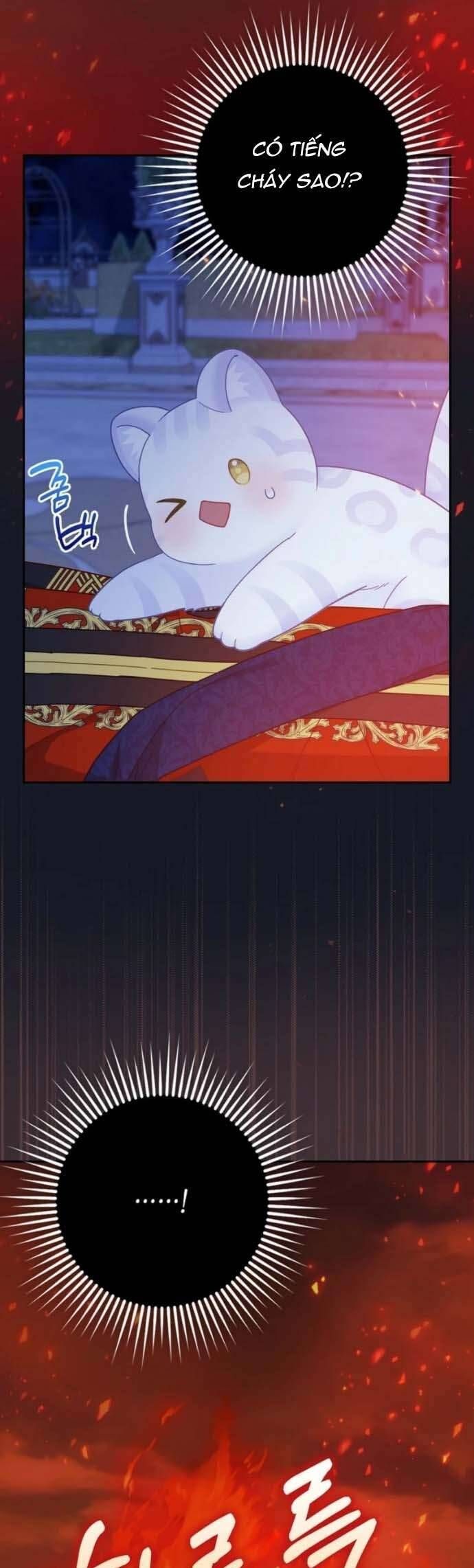 Bé Con Báo Tuyết Của Gia Tộc Báo Đen: Chapter 41