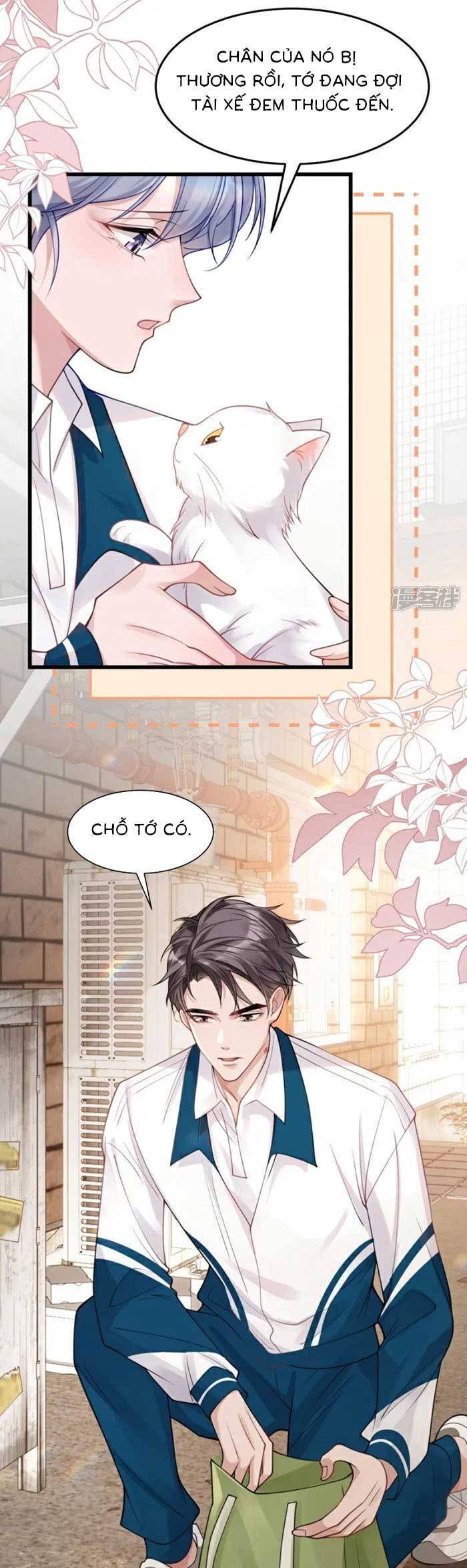 Bí Mật Nhỏ Của Ngỗng Trắng: Chapter 13