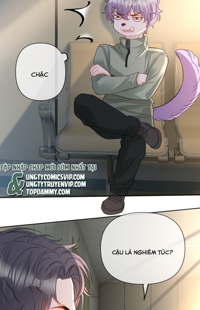 Bị Vạn Người Ghét Sau Khi Trùng Sinh Bạo Hồng Toàn Mạng: Chapter 65