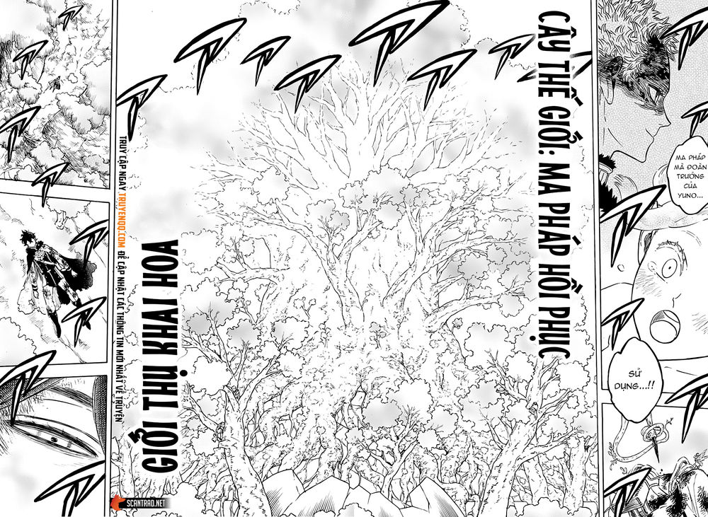Black Clover - Thế Giới Phép Thuật: Chapter 239