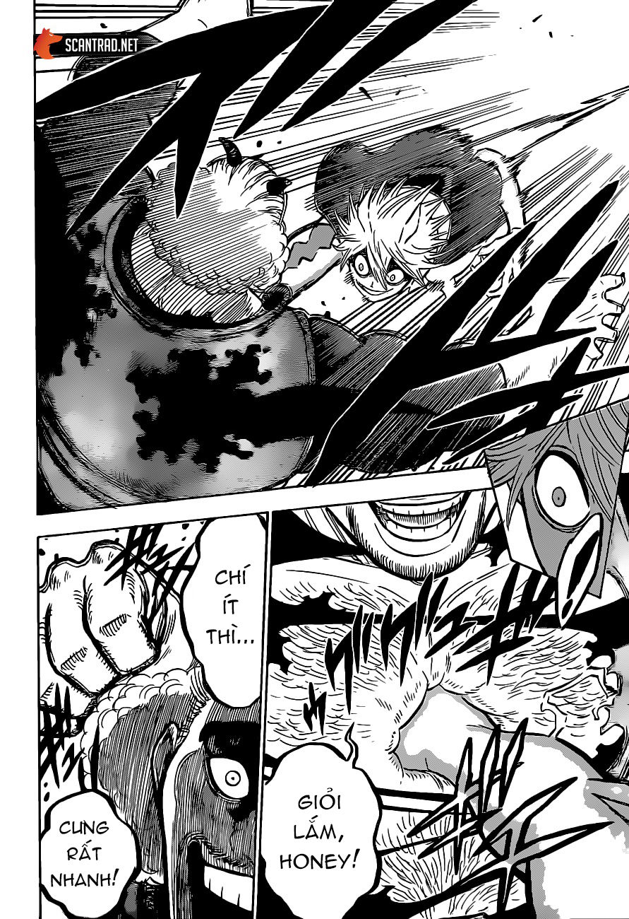 Black Clover - Thế Giới Phép Thuật: Chapter 247