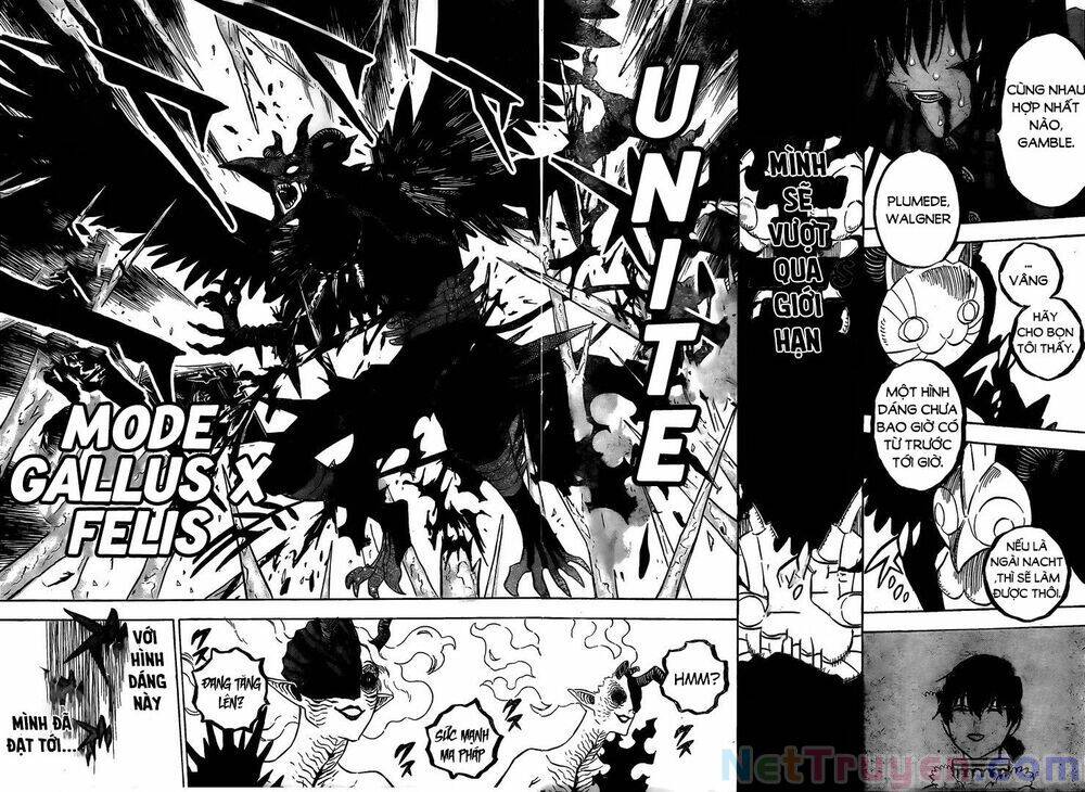 Black Clover - Thế Giới Phép Thuật: Chapter 287