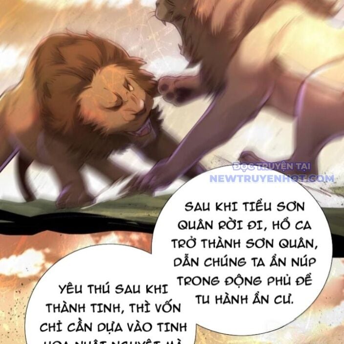 Bói Toán Mà Thôi, Cửu Vĩ Yêu Đế Sao Lại Thành Nương Tử Ta?!: Chapter 72