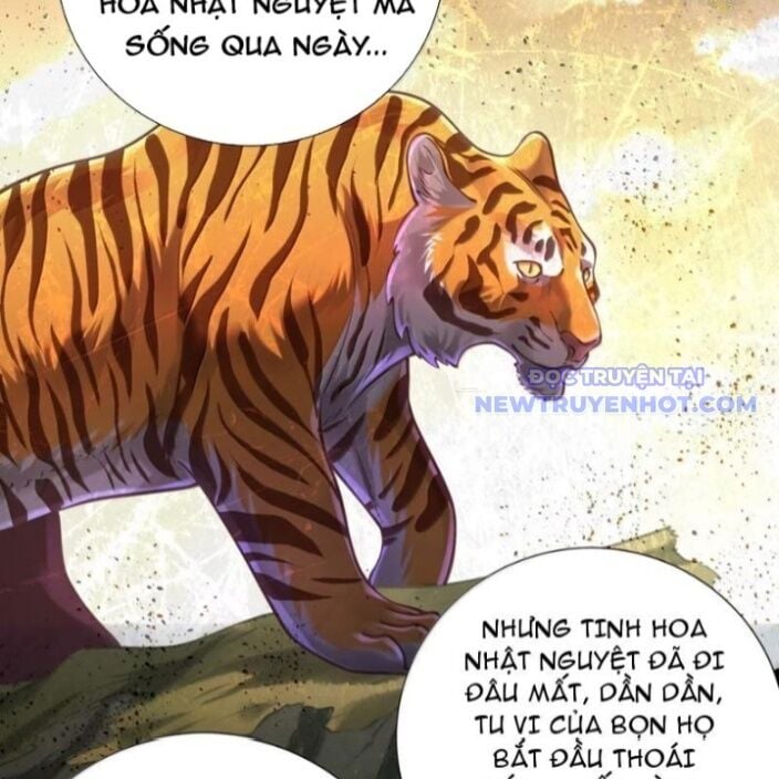 Bói Toán Mà Thôi, Cửu Vĩ Yêu Đế Sao Lại Thành Nương Tử Ta?!: Chapter 72