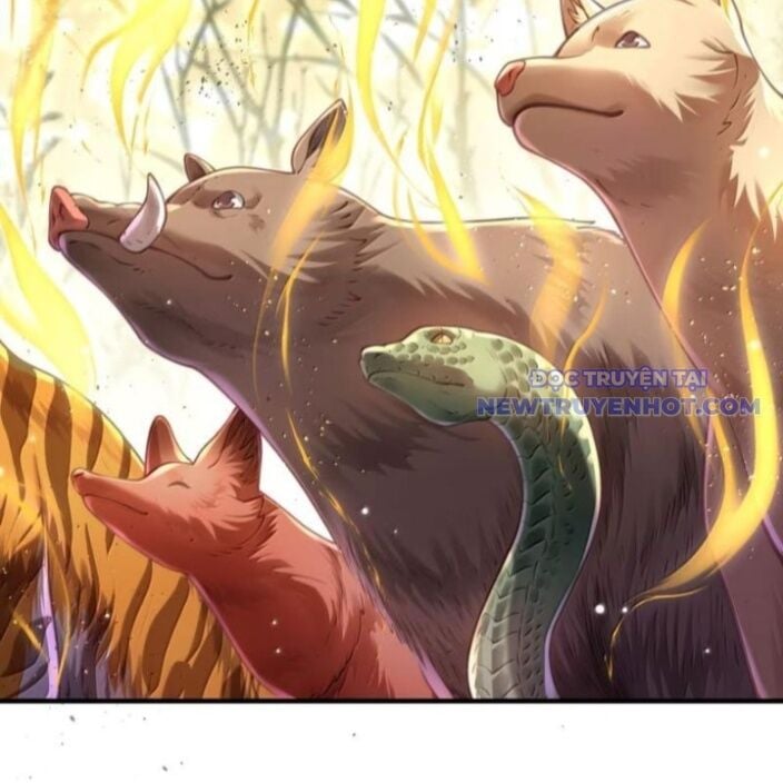 Bói Toán Mà Thôi, Cửu Vĩ Yêu Đế Sao Lại Thành Nương Tử Ta?!: Chapter 72