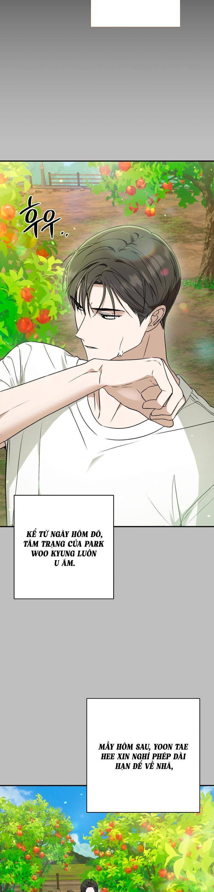 Bóng Râm Mùa Xuân: Chapter 19