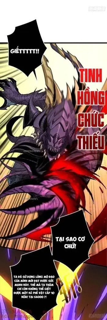 Bùng Cháy Đi Người Chơi Cấp Cao: Chapter 24