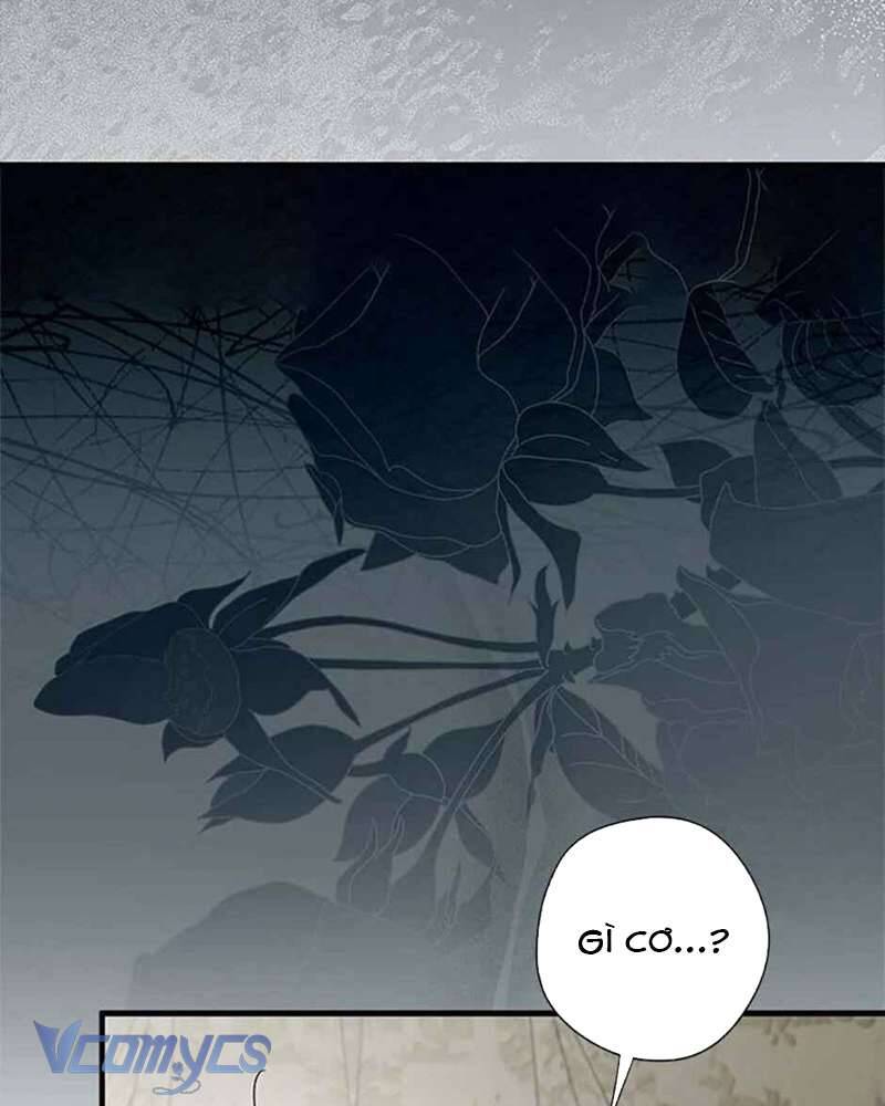 Các Nam Chính Đã Bị Nữ Phụ Cướp Mất: Chapter 39