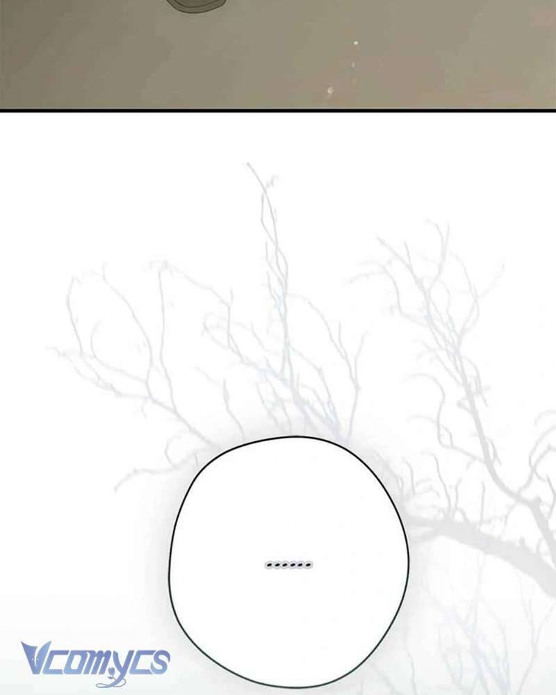 Các Nam Chính Đã Bị Nữ Phụ Cướp Mất: Chapter 39