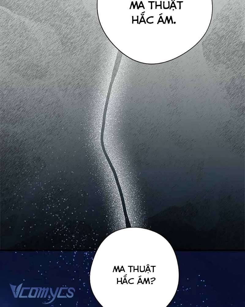 Các Nam Chính Đã Bị Nữ Phụ Cướp Mất: Chapter 39