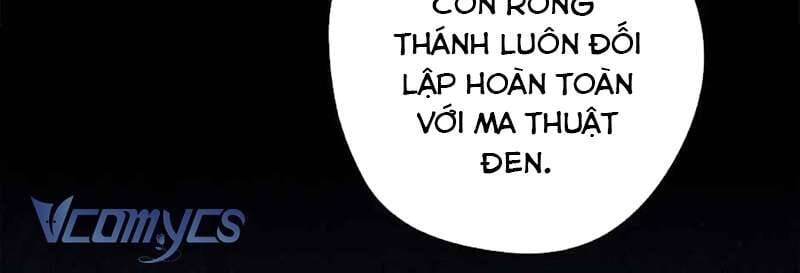 Các Nam Chính Đã Bị Nữ Phụ Cướp Mất: Chapter 39