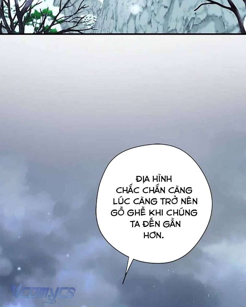 Các Nam Chính Đã Bị Nữ Phụ Cướp Mất: Chapter 39