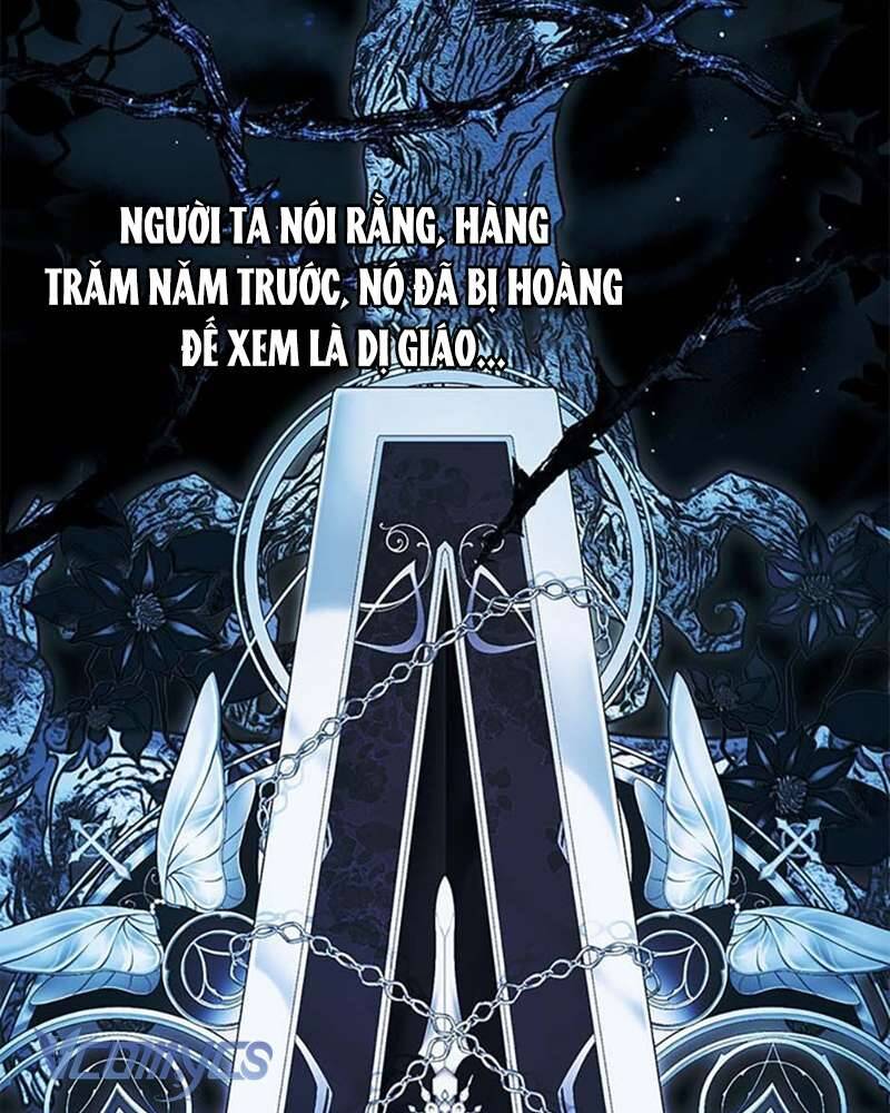 Các Nam Chính Đã Bị Nữ Phụ Cướp Mất: Chapter 39