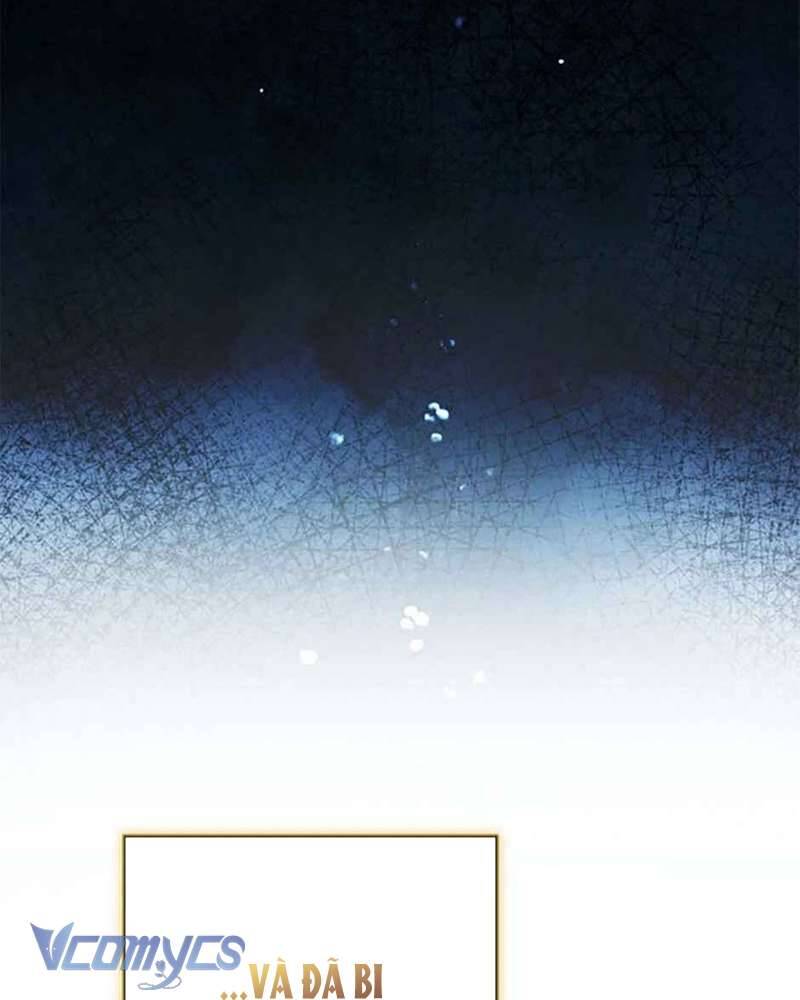 Các Nam Chính Đã Bị Nữ Phụ Cướp Mất: Chapter 39