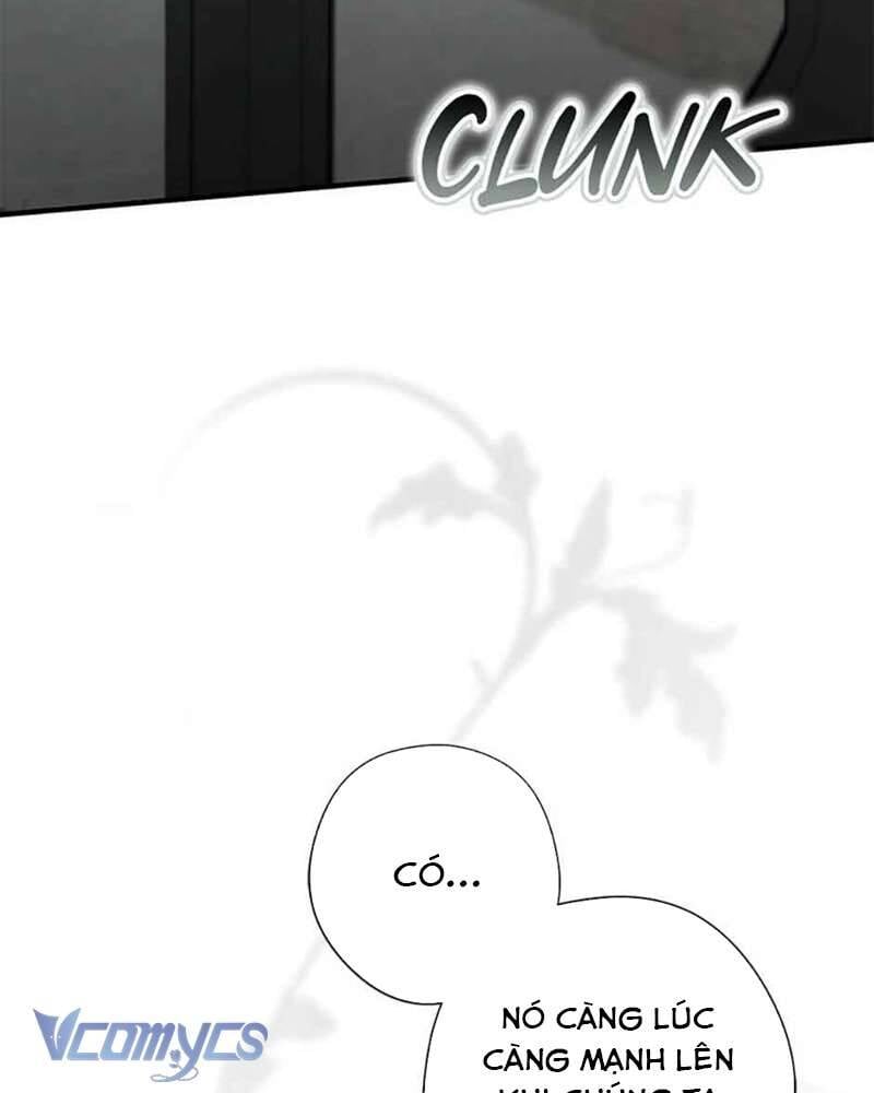 Các Nam Chính Đã Bị Nữ Phụ Cướp Mất: Chapter 39