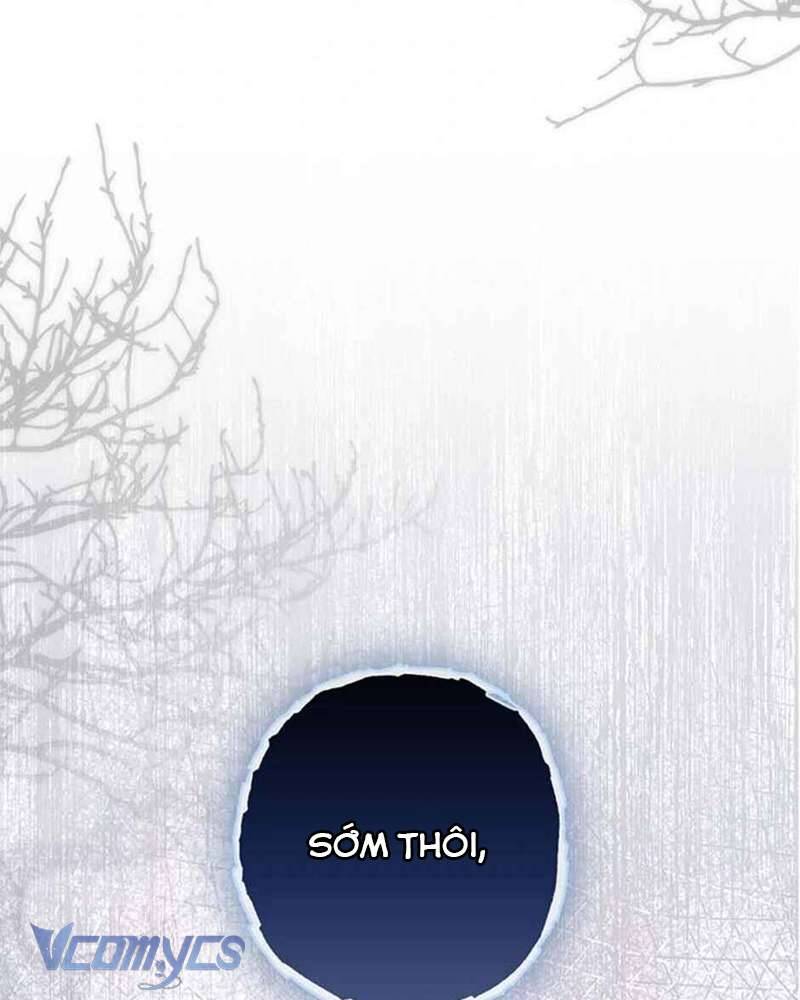 Các Nam Chính Đã Bị Nữ Phụ Cướp Mất: Chapter 39