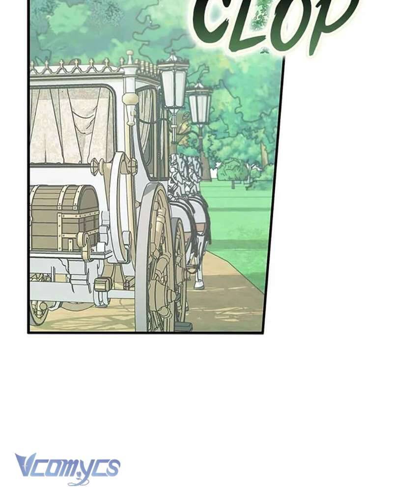 Các Nam Chính Đã Bị Nữ Phụ Cướp Mất: Chapter 39