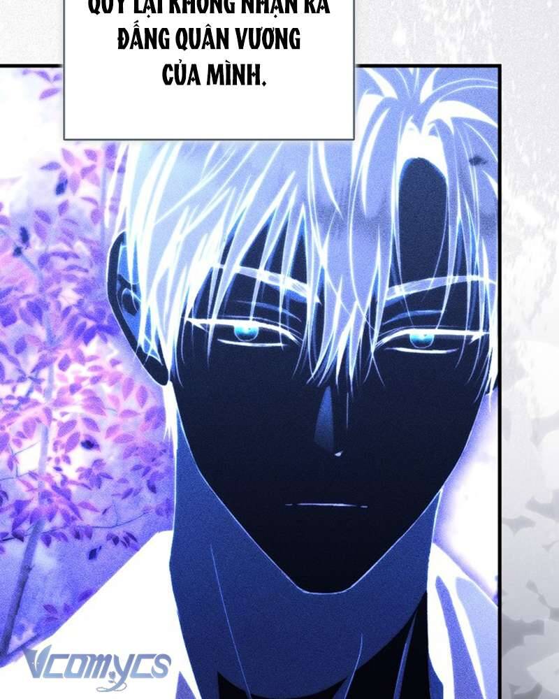 Các Nam Chính Đã Bị Nữ Phụ Cướp Mất: Chapter 41
