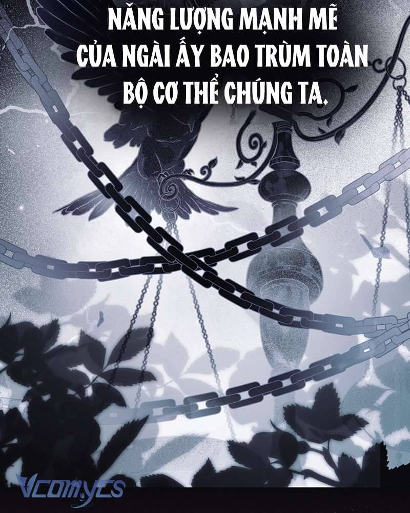 Các Nam Chính Đã Bị Nữ Phụ Cướp Mất: Chapter 41