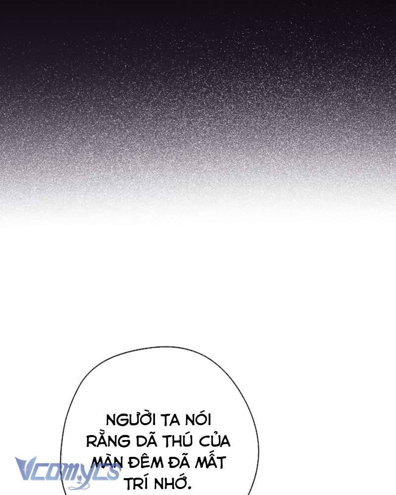 Các Nam Chính Đã Bị Nữ Phụ Cướp Mất: Chapter 41