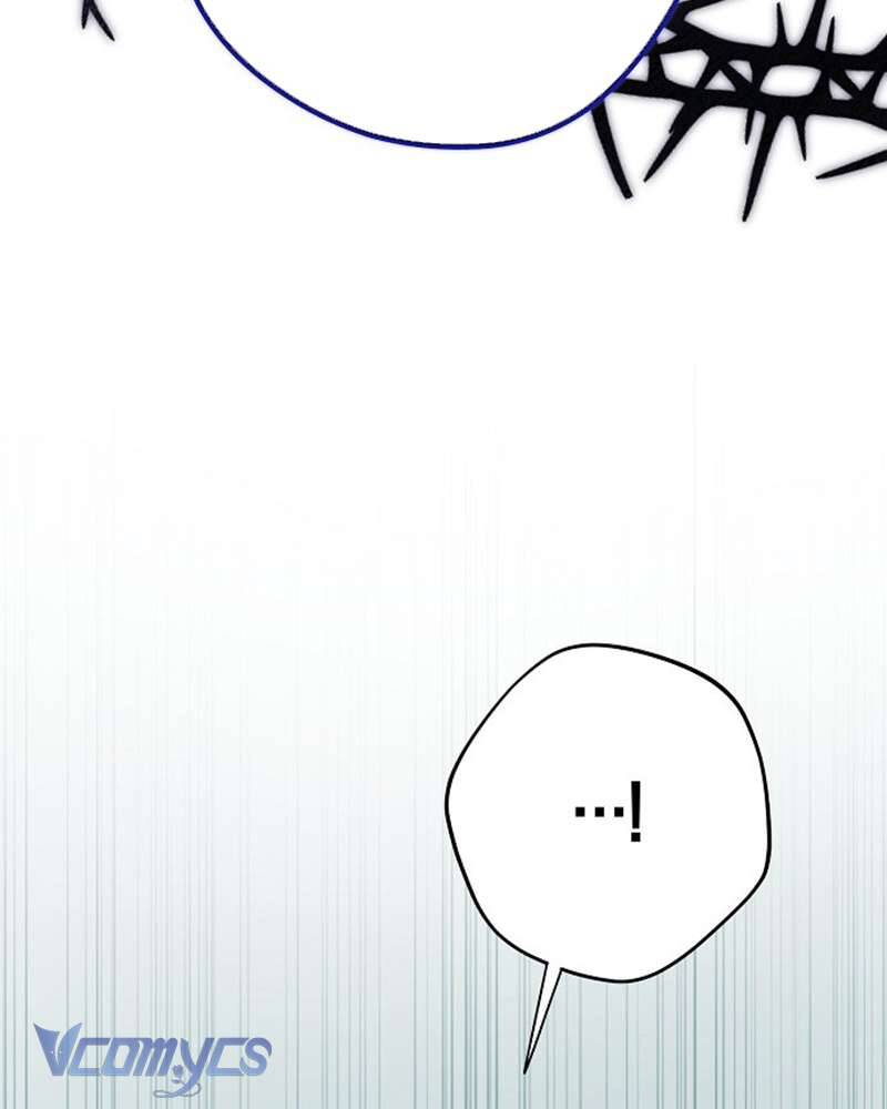 Các Nam Chính Đã Bị Nữ Phụ Cướp Mất: Chapter 41