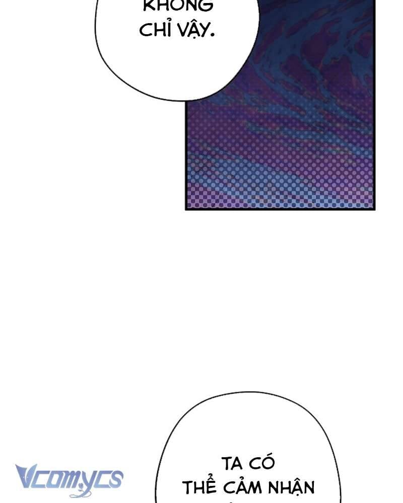 Các Nam Chính Đã Bị Nữ Phụ Cướp Mất: Chapter 41