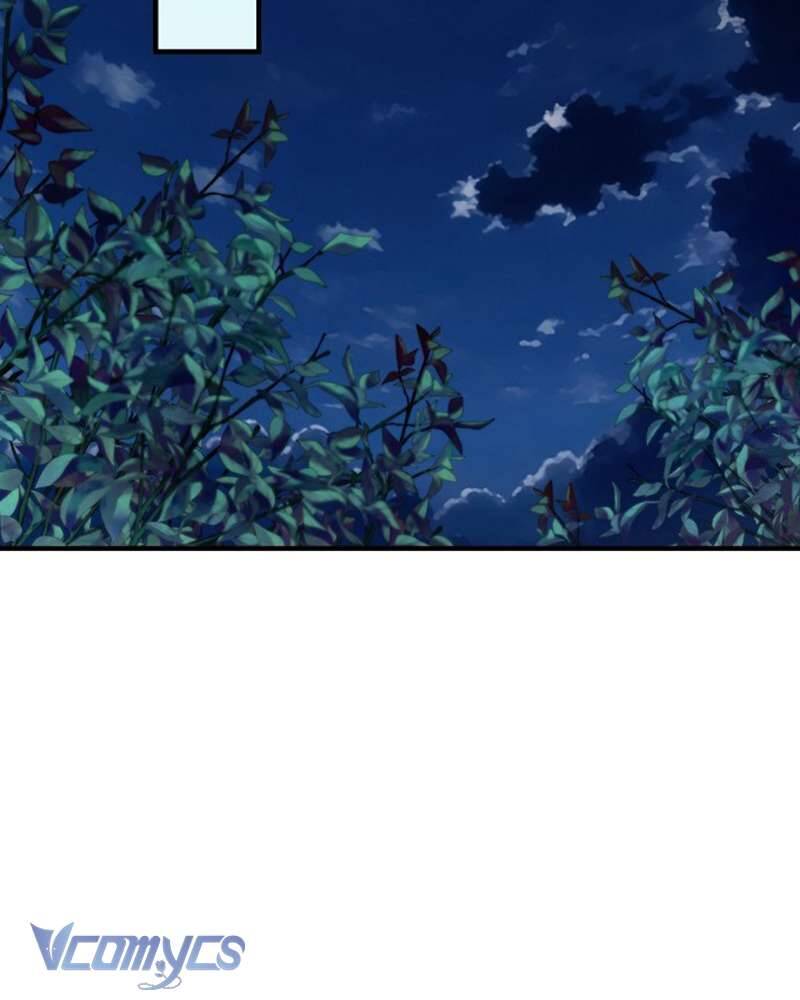 Các Nam Chính Đã Bị Nữ Phụ Cướp Mất: Chapter 41