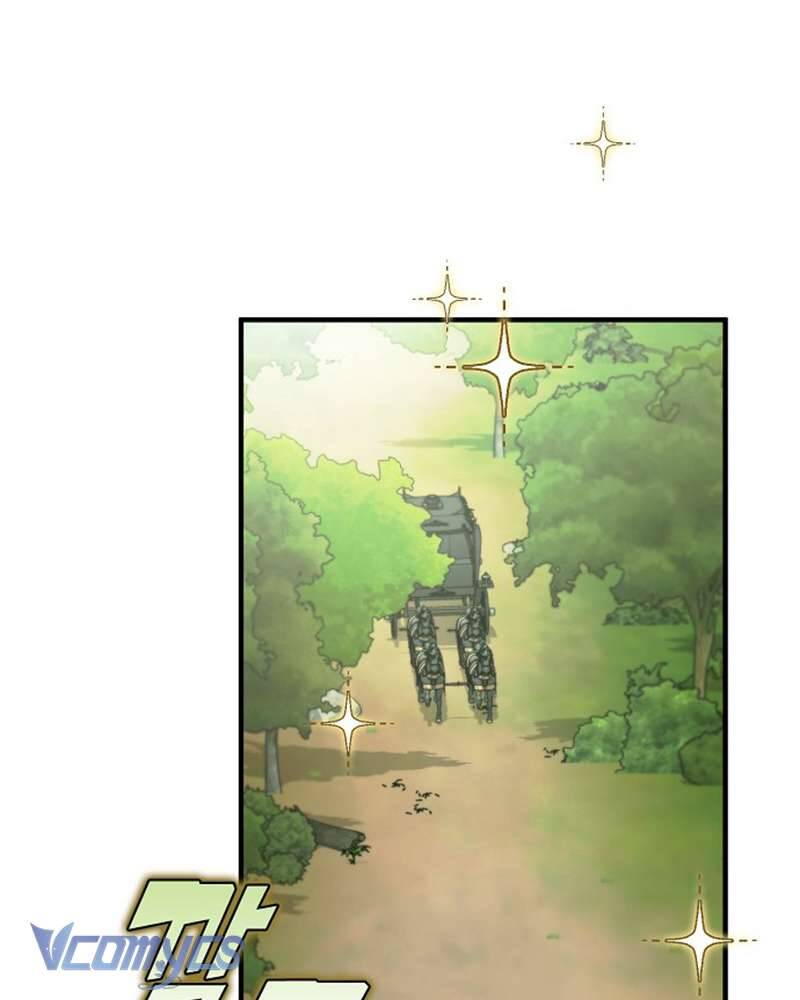 Các Nam Chính Đã Bị Nữ Phụ Cướp Mất: Chapter 41