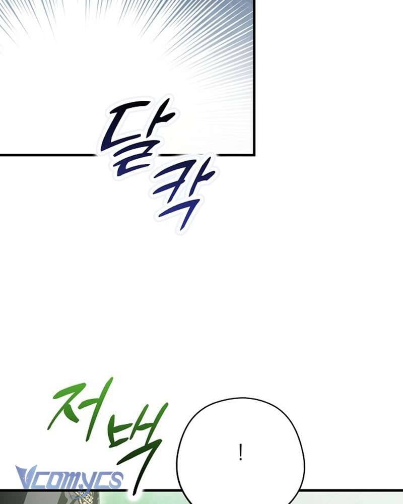 Các Nam Chính Đã Bị Nữ Phụ Cướp Mất: Chapter 41