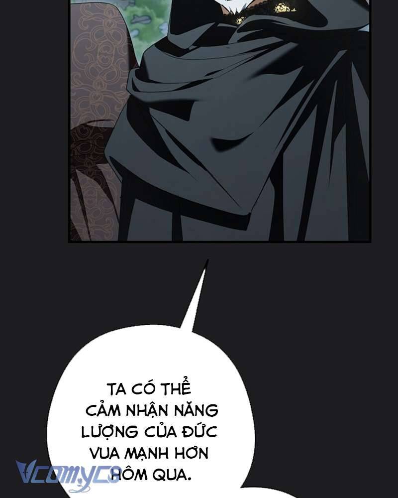 Các Nam Chính Đã Bị Nữ Phụ Cướp Mất: Chapter 41