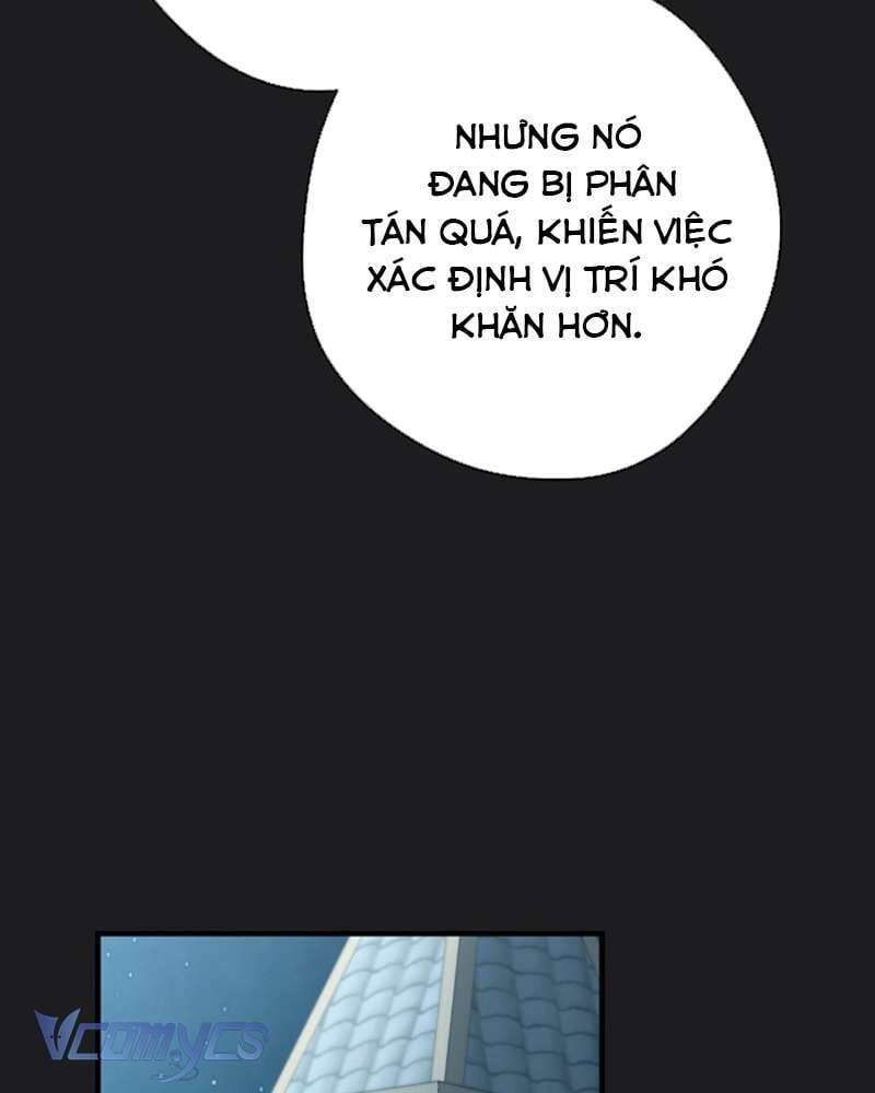Các Nam Chính Đã Bị Nữ Phụ Cướp Mất: Chapter 41