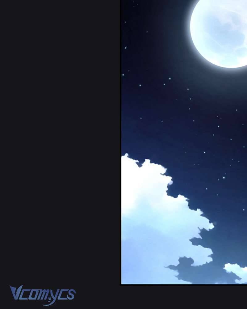 Các Nam Chính Đã Bị Nữ Phụ Cướp Mất: Chapter 41