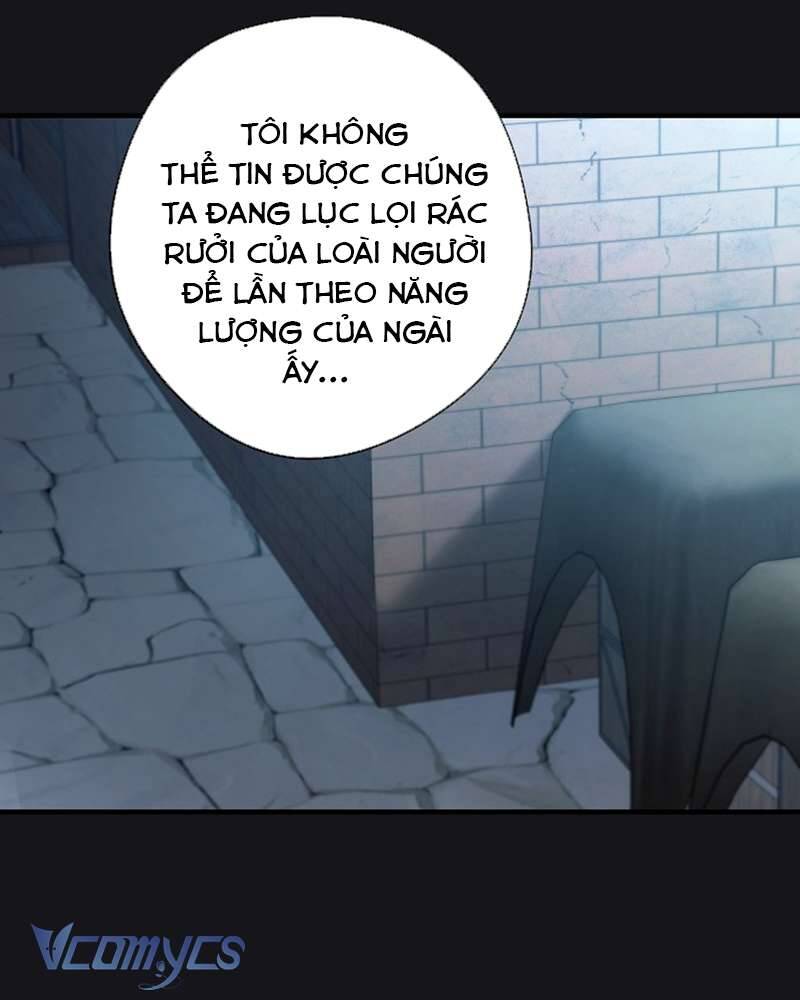 Các Nam Chính Đã Bị Nữ Phụ Cướp Mất: Chapter 41