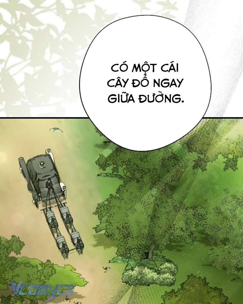 Các Nam Chính Đã Bị Nữ Phụ Cướp Mất: Chapter 41