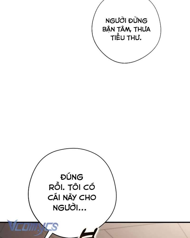 Các Nam Chính Đã Bị Nữ Phụ Cướp Mất: Chapter 42