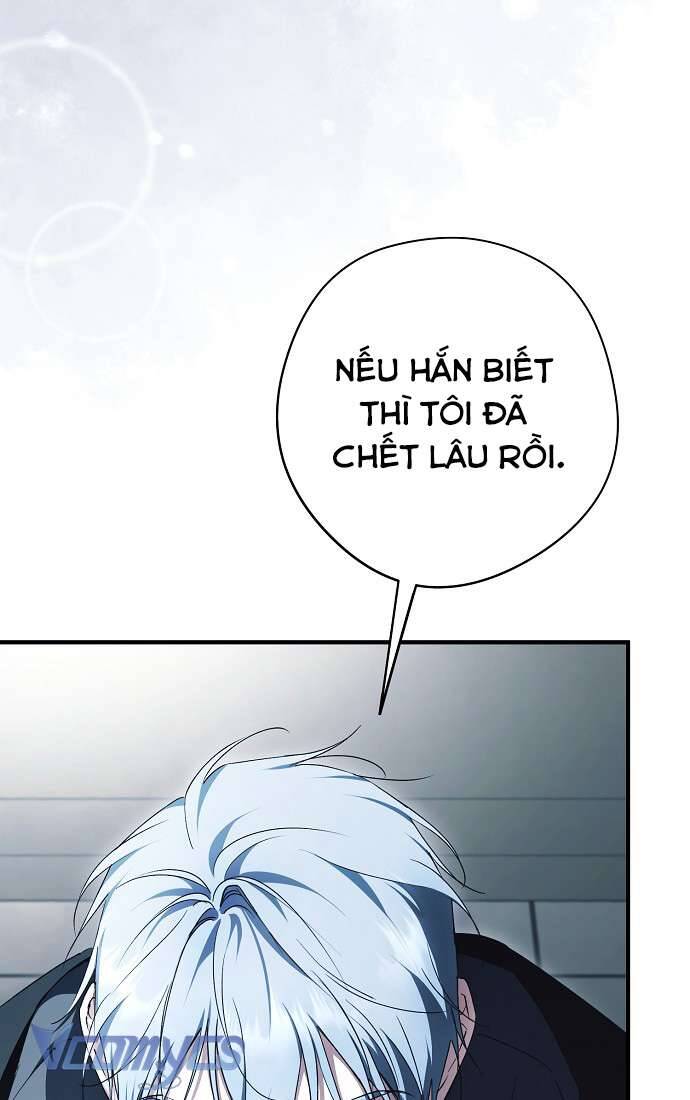 Các Nam Chính Đã Bị Nữ Phụ Cướp Mất: Chapter 43